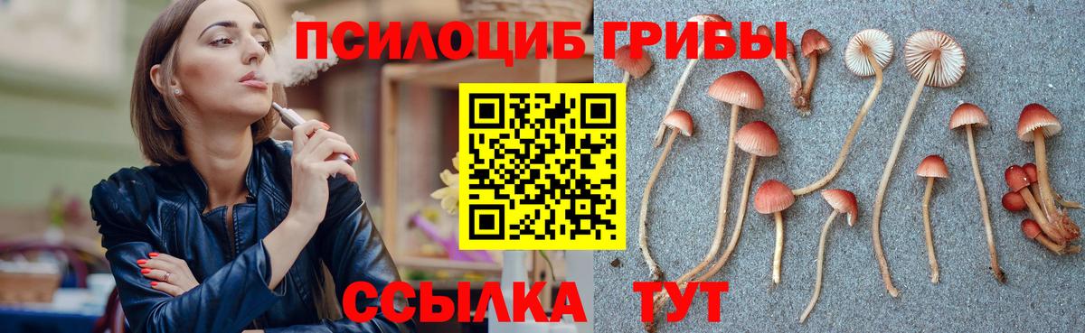 Галлюциногенные грибы мицелий Маркс