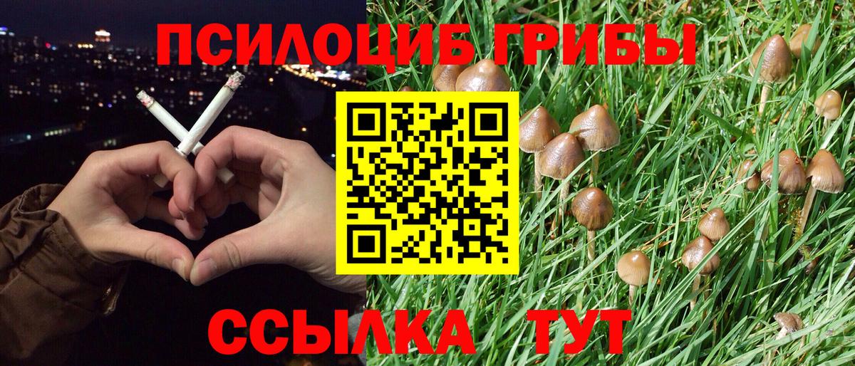 Маркс  Галлюциногенные грибы MAGIC MUSHROOMS  купить наркотик  Вход с VPN 